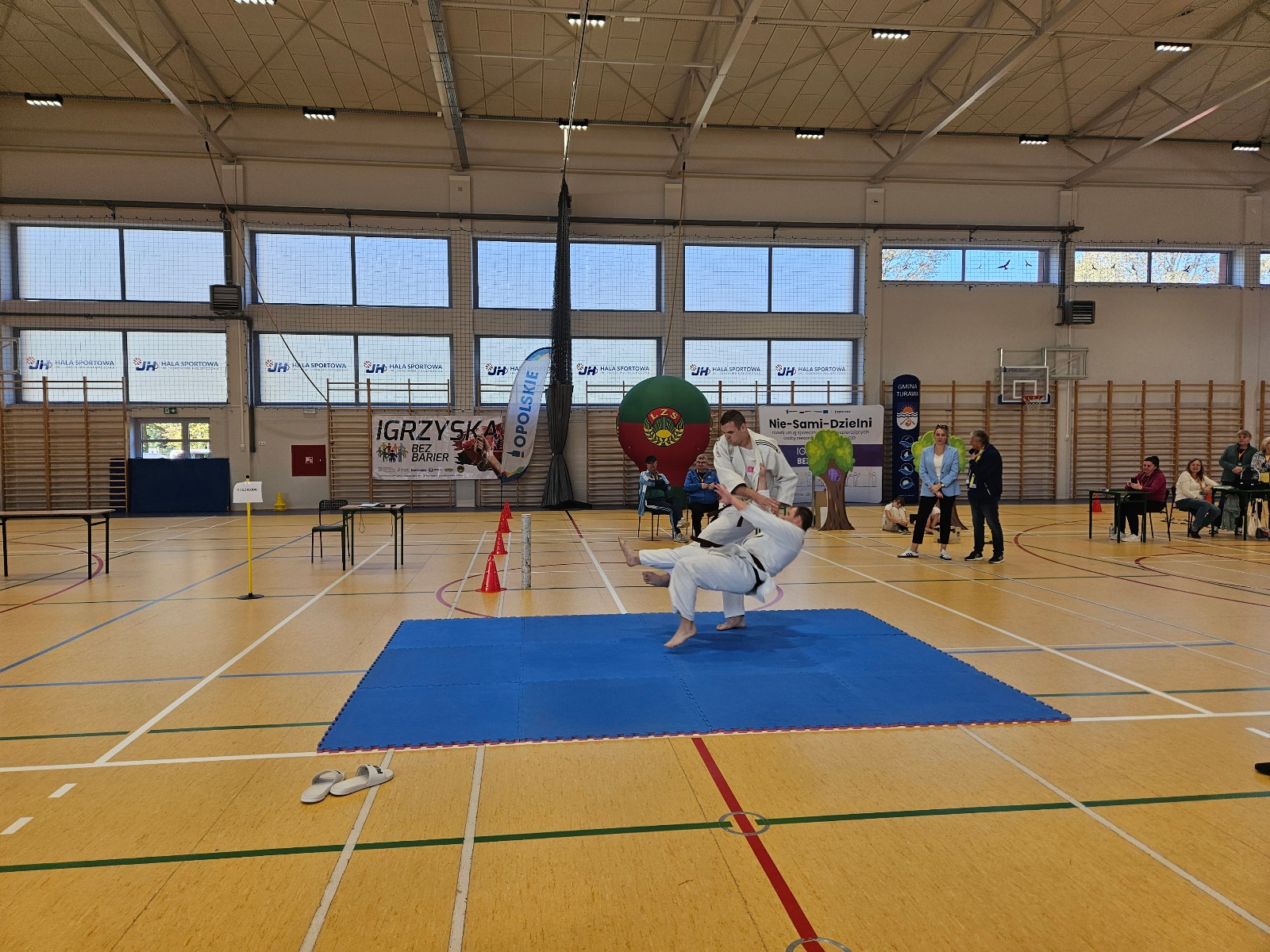 20241016_110528 (Copy)