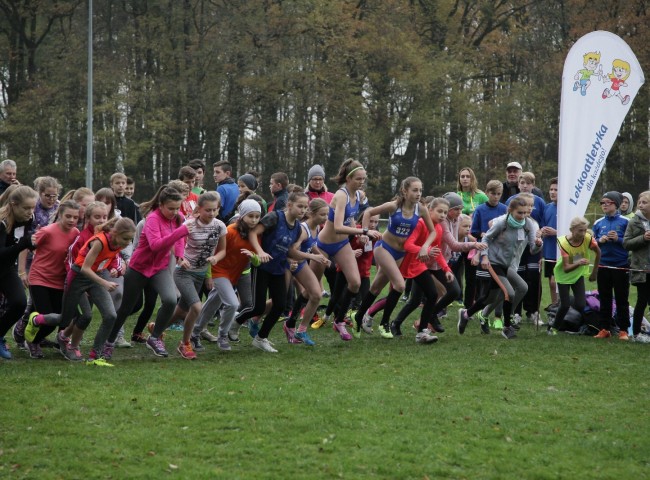 Biegi Niepodległości - Korfantów 2017